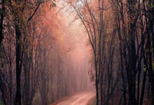 豪门国际下载:2021歐洲杯東道主賽程表.