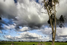 豪门国际下载：中超整體後移一個月 縮短為兩階段變為杯賽制.